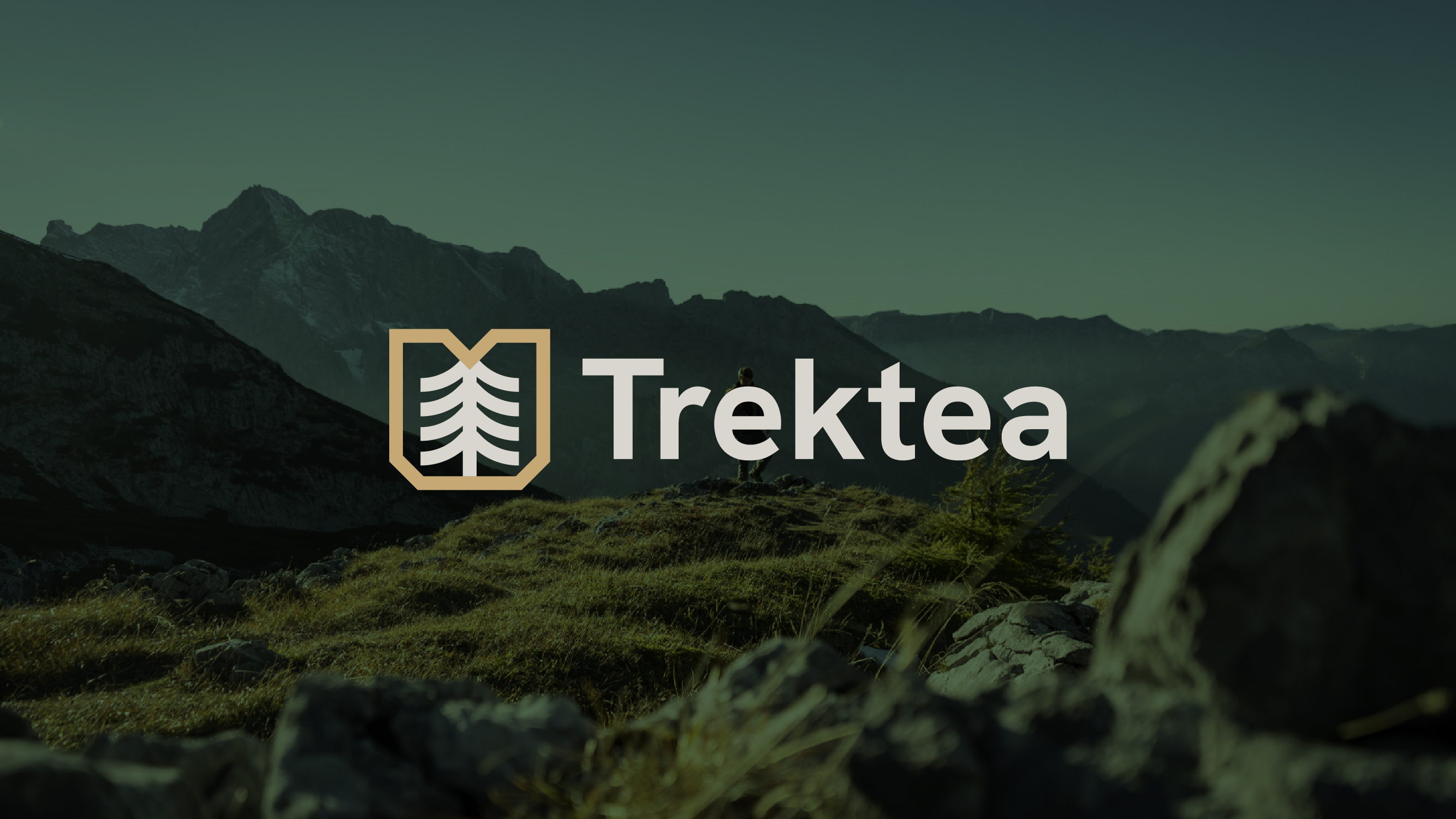Trektea – prezentacja identyfikacji wizualnej
